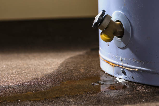 Best 24-hour water damage restoration  in Warsaw, IN