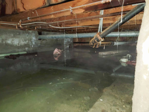Best Emergency water damage restoration  in Warsaw, IN