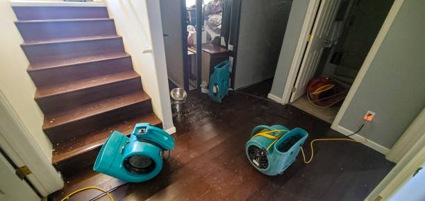 Best Water damage contractors near me  in Warsaw, IN