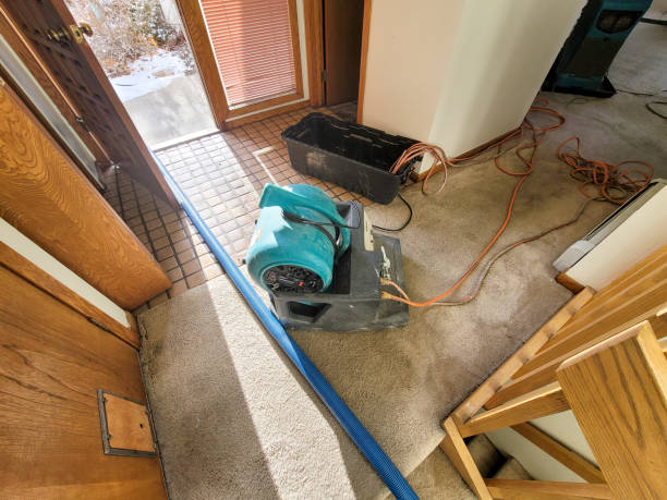 Best Flood damage cleanup  in Warsaw, IN