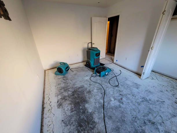 Best Water damage restoration near me  in Warsaw, IN