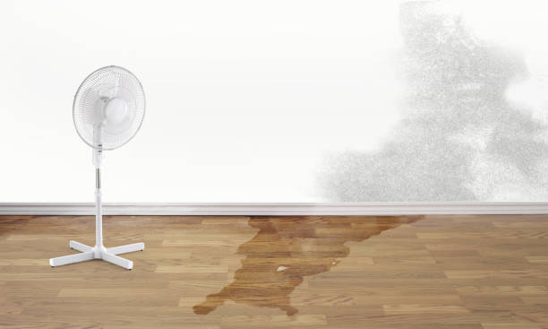 Water damage restoration process in IN
