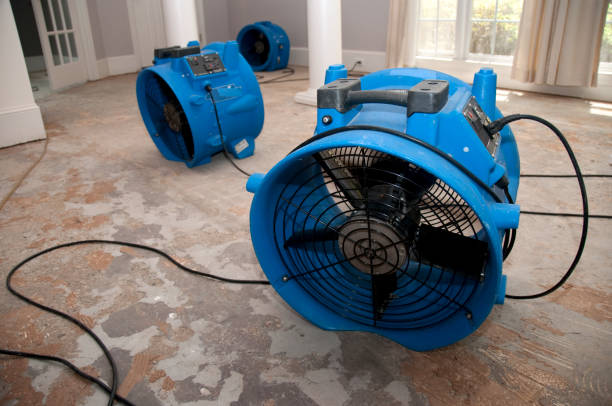 Best Ceiling water damage repair  in Warsaw, IN