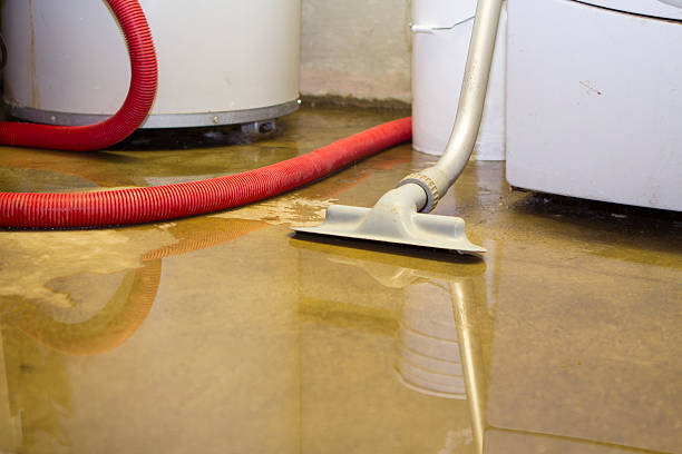 Best Carpet water damage restoration  in Warsaw, IN
