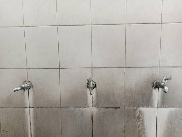 Best Ceiling water damage repair  in Warsaw, IN