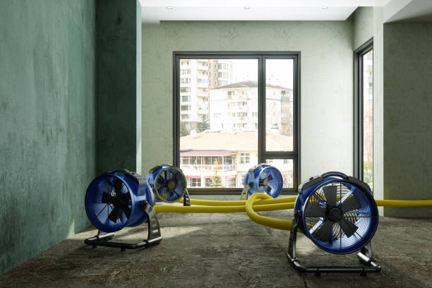 Best 24/7 water damage repair  in Warsaw, IN